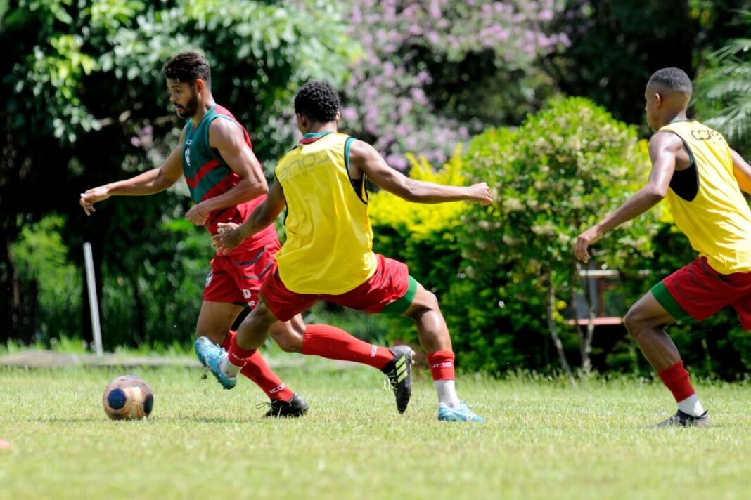 treino_lusa