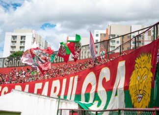 André Carlos Zorzi: O que esperar do público da Lusa?