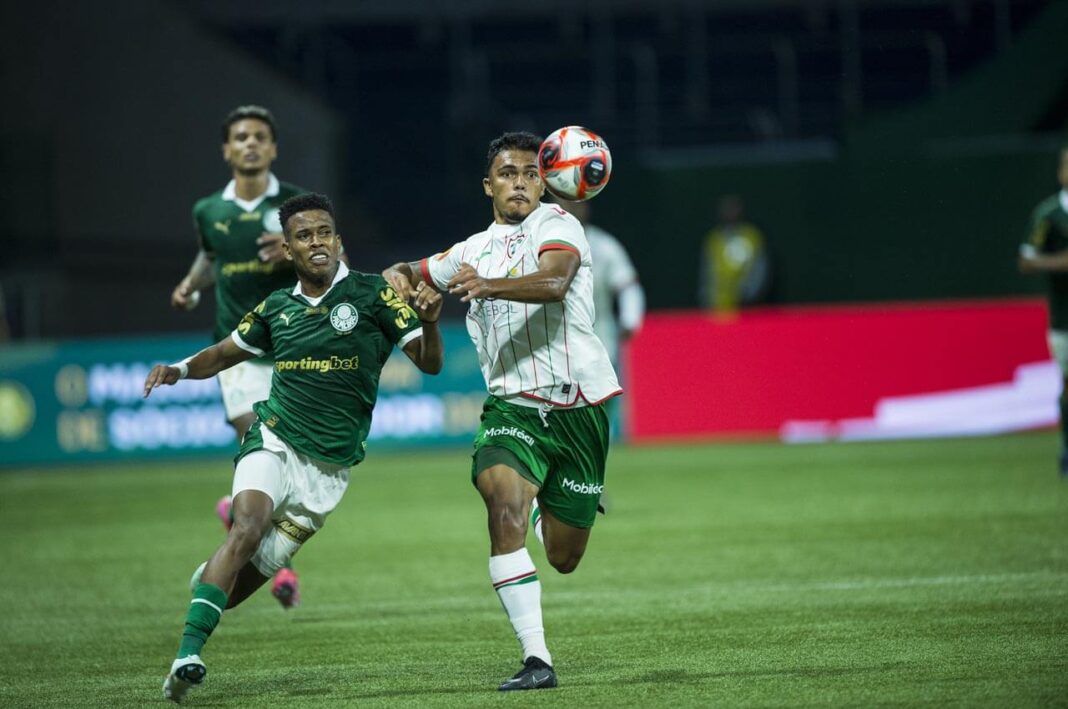 pedro-henrique-lusa-palmeiras