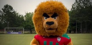 Leão da Lusa com novo visual