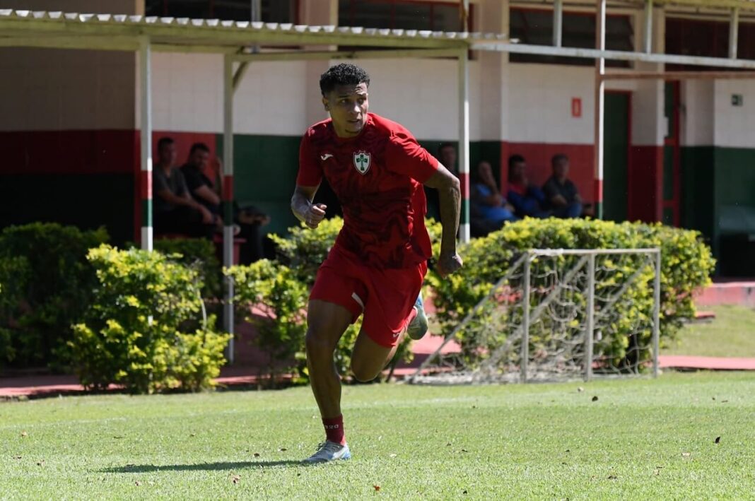 talles-treino