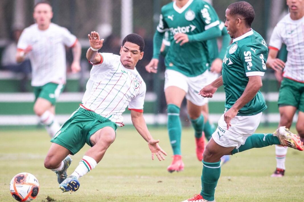 lusa-palmeiras-sub-20-2