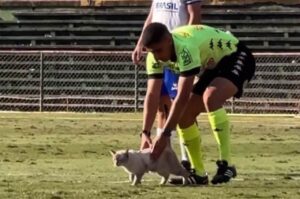 Gato invade campo no Canindé e interrompe vitória da Lusa no Paulista Sub-20