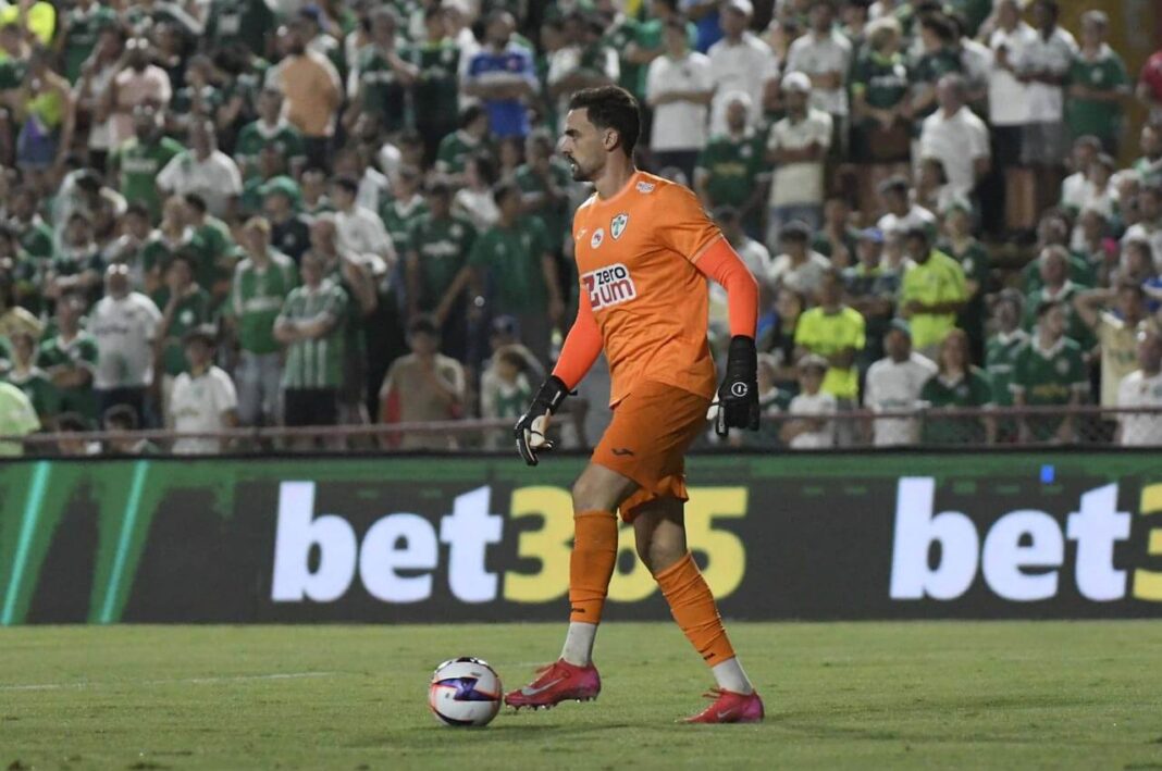 bruno-bertinato-lusa-palmeiras