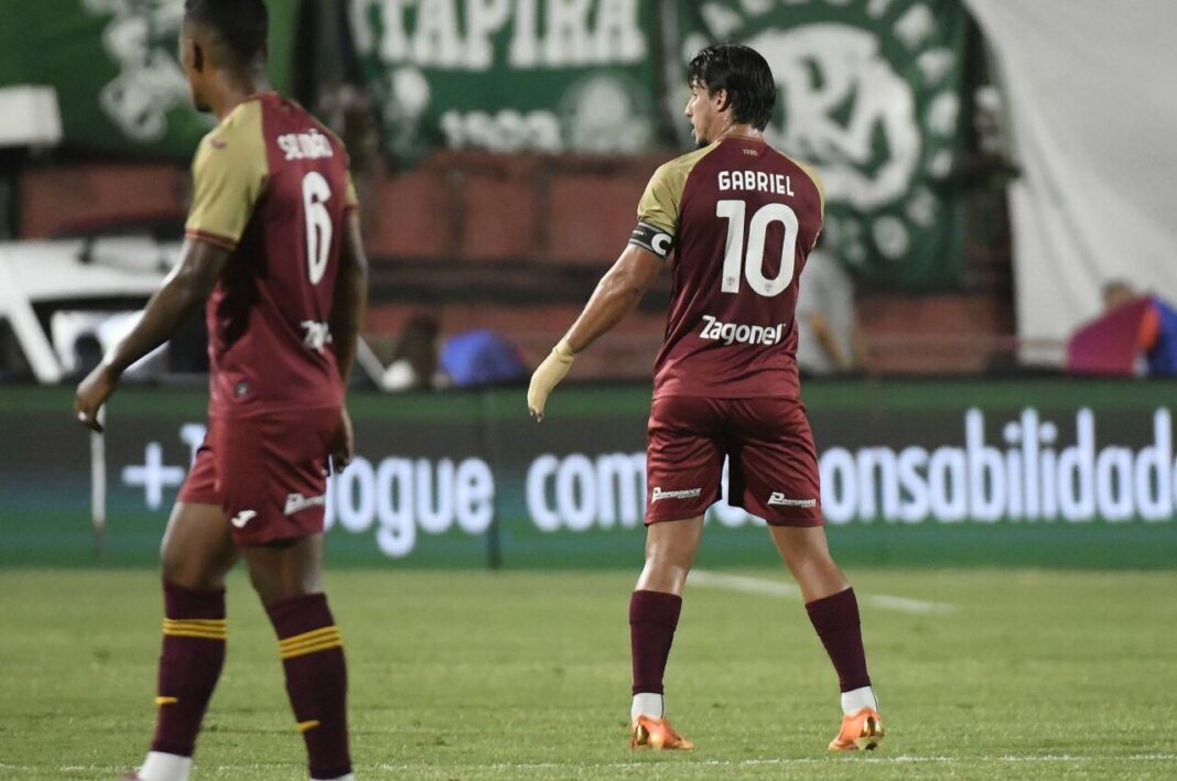 gabriel-pires-palmeiras