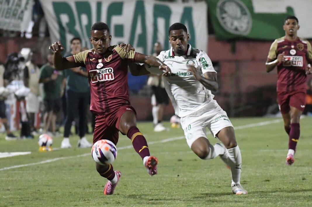 gustavo-salomao-lusa-palmeiras-1