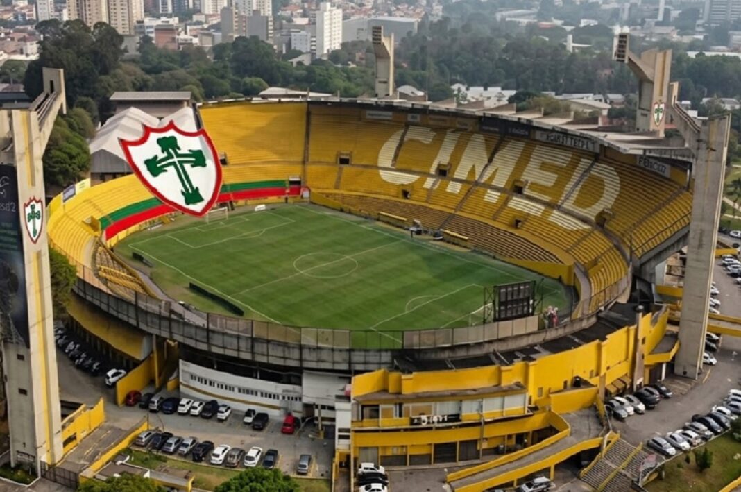 cimed-caninde