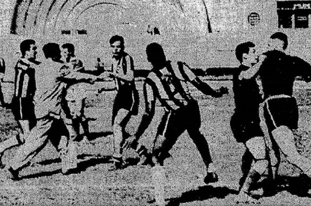 portuguesa-botafogo (1)