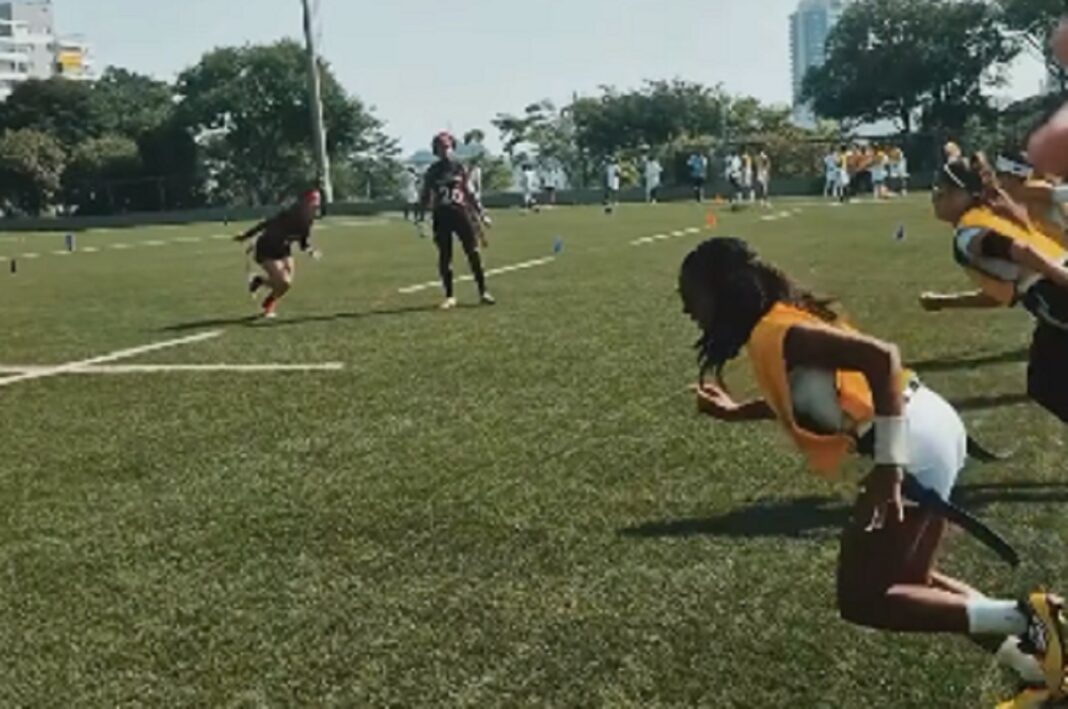 lioness-selecao