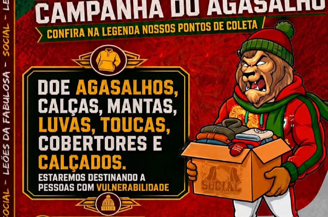 leoes-agasalho