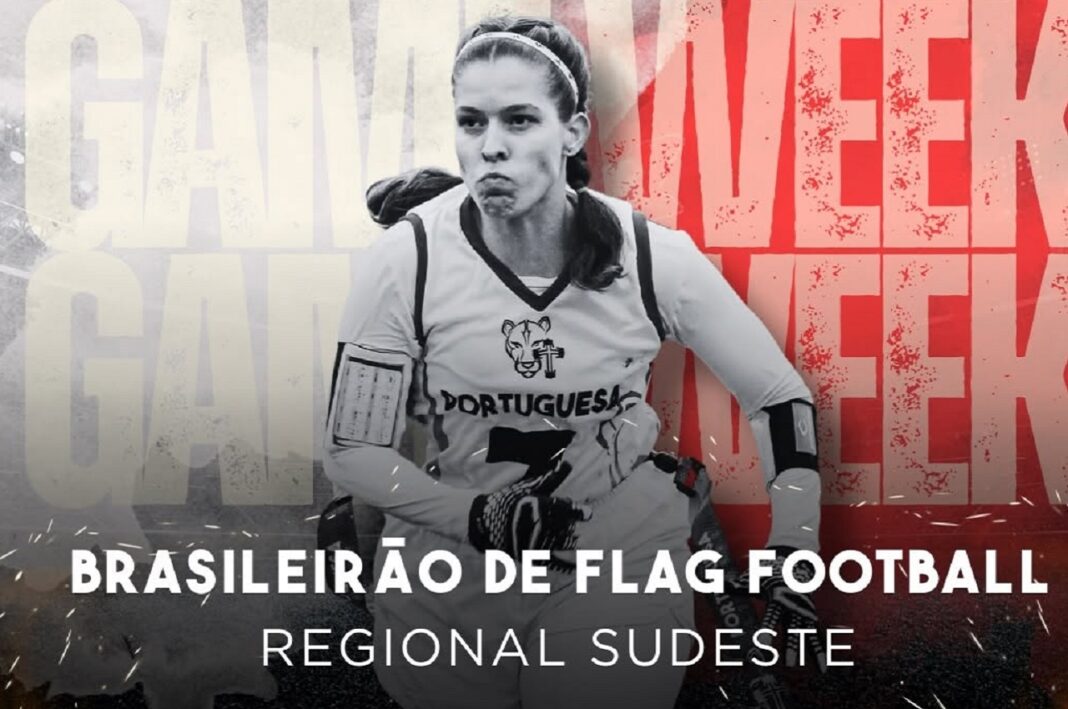flag-brasileiro