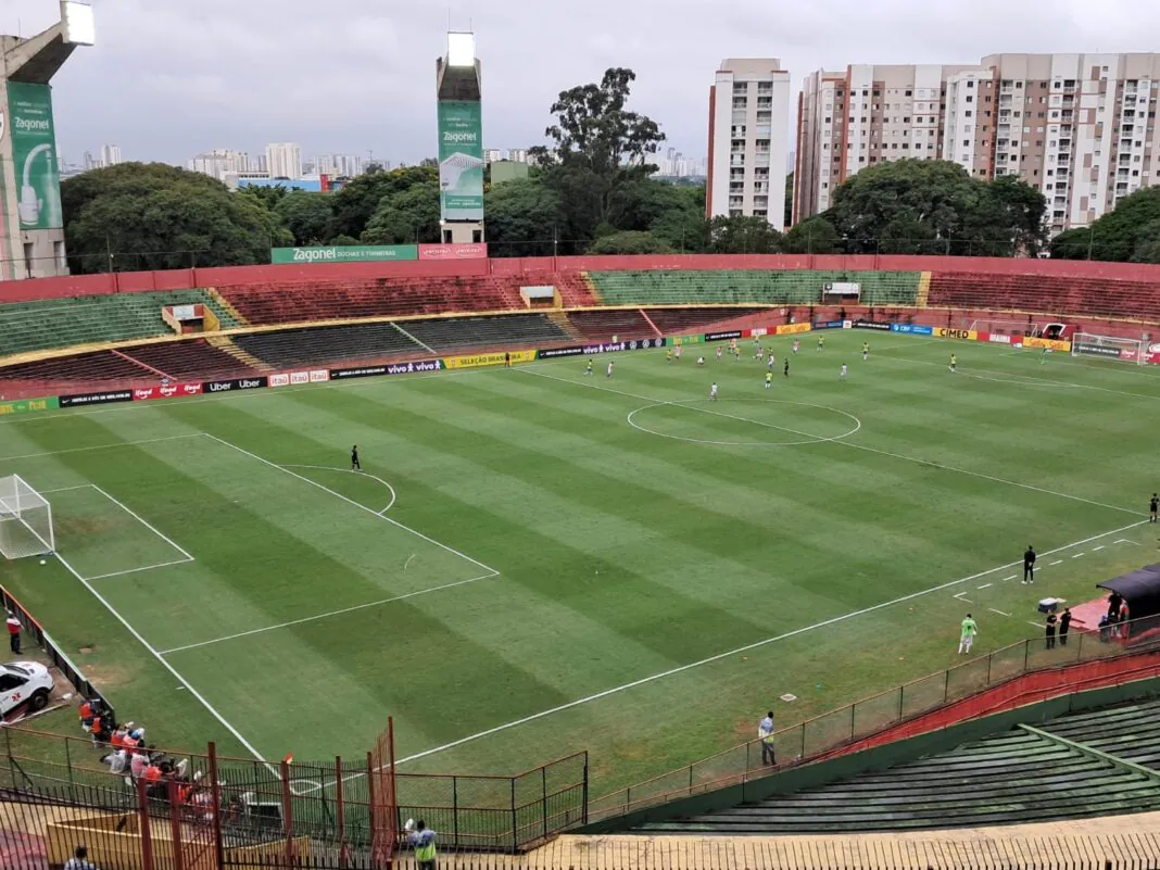 caninde-brasil